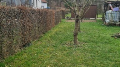 Pronájem zděné chaty se zahradou